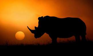 styles medium public images blog posts Adam Dupuis 2014 10 12 10565120 506183272849410 2059438046895966031 n