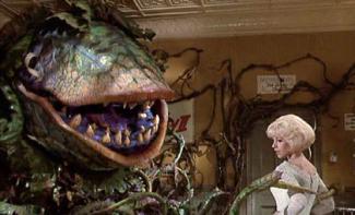 styles medium public images blog posts Adam Dupuis 2015 05 21 3990c