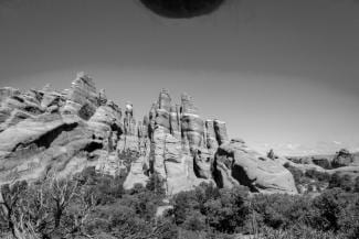 styles medium public images blog posts Adam Dupuis 2015 10 29 tumblr n8rdjy8SK21tpaqwwo1 1280