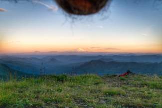 styles medium public images blog posts Adam