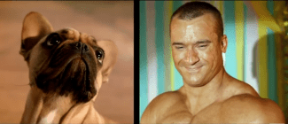 styles medium public images blog posts Adam Dupuis 2016 01 23 Screen Shot 2016 01 23 at 12.02.17 PM