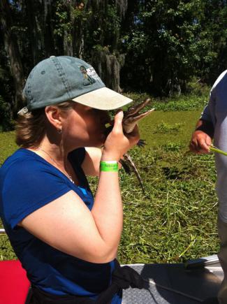 styles medium public images blog posts Adam Dupuis 2016 02 03 alligator