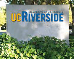 styles medium public images blog posts Adam Dupuis 2016 02 04 images 0