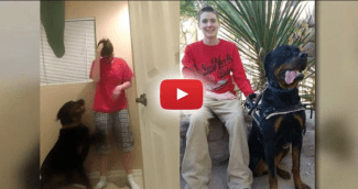 styles medium public images blog posts Adam Dupuis 2016 02 08 Screen Shot 2016 02 06 at 1.08.44 AM grande