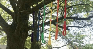 styles medium public images blog posts Adam Dupuis 2016 04 19 Screen Shot 2016 04 19 at 11.58.29 PM