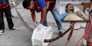 styles medium public images blog posts Adam Dupuis 2016 05 26 Screen Shot 2016 05 26 at 6.06.13 PM