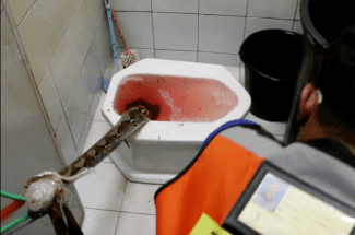 styles medium public images blog posts Adam Dupuis 2016 05 26 Screen Shot 2016 05 26 at 6.07.51 PM