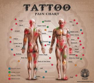 styles medium public images blog posts Adam Dupuis 2016 07 01 pom chart