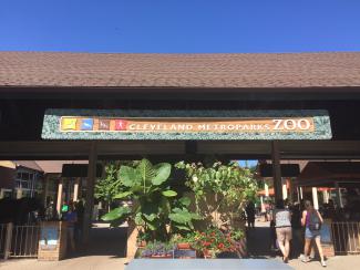 styles medium public images blog posts Adam Dupuis 2016 07 04 IMG 0136