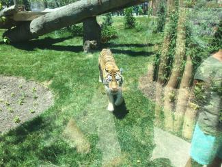 styles medium public images blog posts Adam Dupuis 2016 07 04 IMG 0209