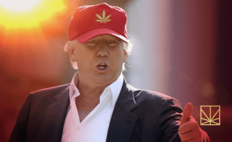 styles medium public images blog posts Adam Dupuis 2016 09 06 Screen Shot 2016 09 06 at 6.33.53 PM