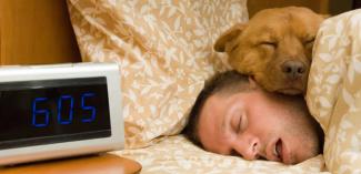 styles medium public images blog posts Adam Dupuis 2016 10 01 2014 07 22 letting pets stay in same bed as owners reduces sleep quality dog