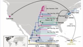 styles medium public images blog posts Adam