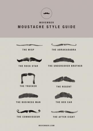 styles medium public images blog posts Adam Dupuis 2016 11 02 Movember StyleGuide