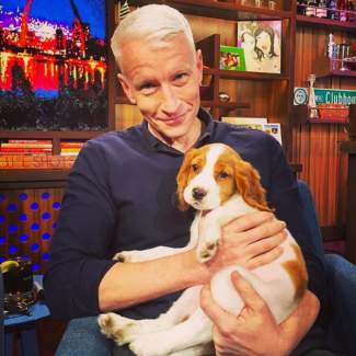 ANDERSON COOPER After a tough news day, Cooper has found that puppy hugs are the best medicine. styles medium public images blog posts Adam Dupuis 2016 11 15 anderson cooper2