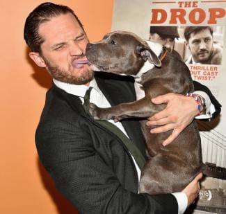 Tom Hardy, who loves both hugs and kisses from his canine The Drop costar. styles medium public images blog posts Adam Dupuis 2016 11 15 tom hardy