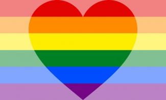 styles medium public images blog posts Adam Dupuis 2016 12 29 homoromantic 1 by pride flags da0ebga