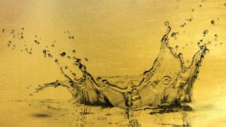 styles medium public images blog posts Adam Dupuis 2017 01 24 goldenshower mainimage2