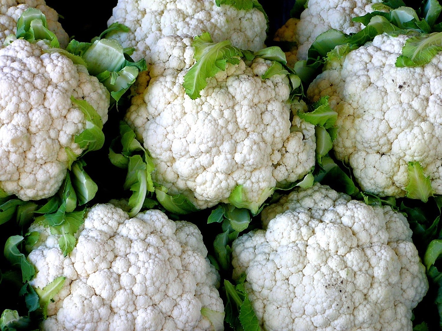 cauliflower-1ahsm9d.jpg