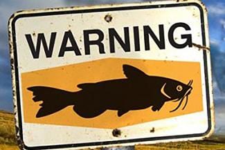 Image - craveonline.com styles medium public images blog posts Adam Dupuis 2017 04 03 man file 1065414 Catfish featurePhoto2 356x243