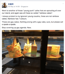 styles large public images blog posts Devin Randall 2017 06 05 Anti Pink Dot Singapore Rainbow Cake