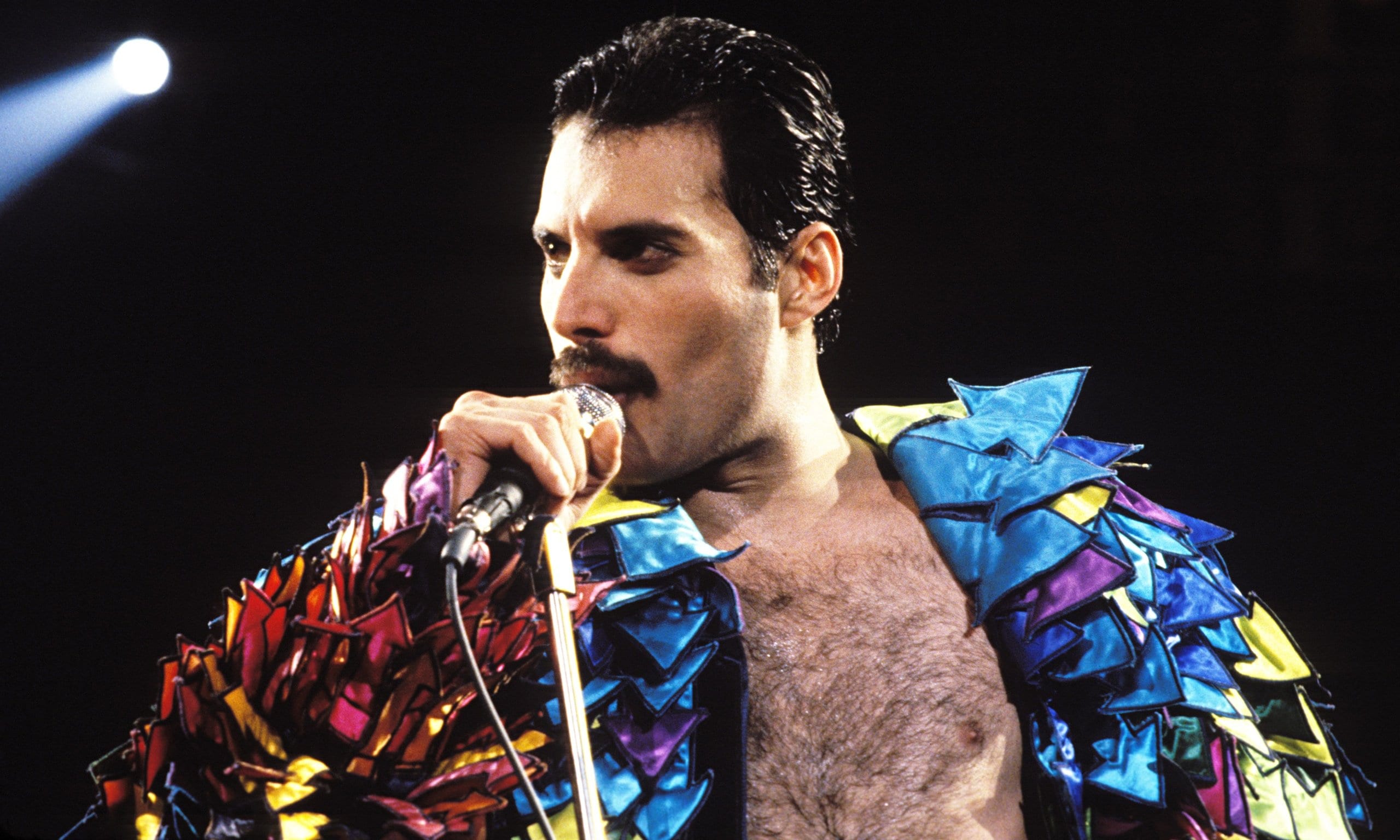 Freddie-Mercury.jpg