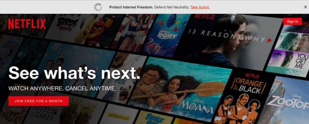 styles large public images blog posts David