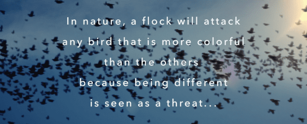 styles large public images blog posts Adam Dupuis 2017 08 01 Screen Shot 2017 08 01 at 7.00.00 PM