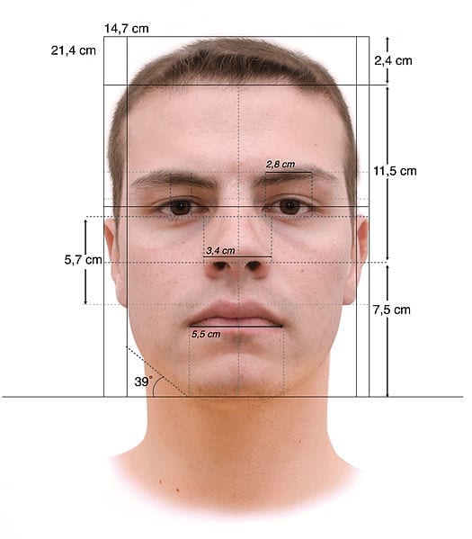 525px-Face_Measurements_Lombroso's_method.jpg