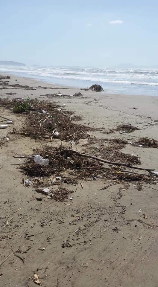 styles large public images blog posts Devin Randall 2017 09 20 Free Willy 3