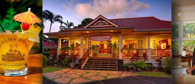 styles large public images blog posts KMonsefi 2017 03 02 Koloa 2