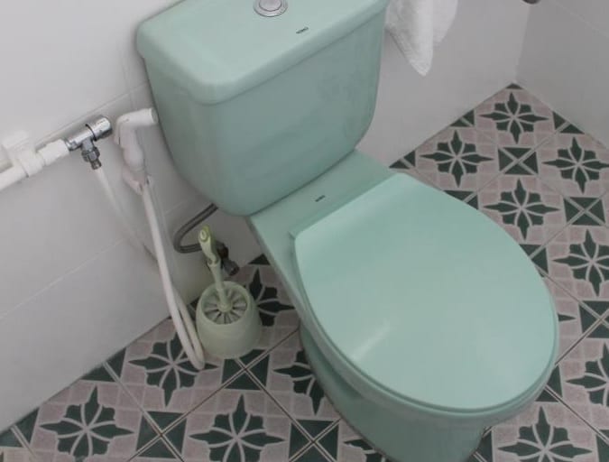 InstinctToilet.jpg