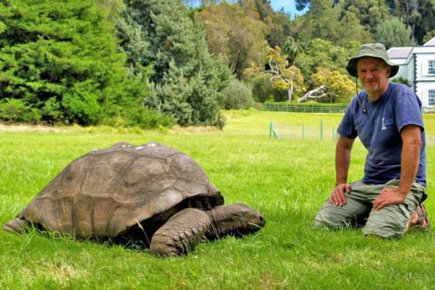 styles large public images blog posts Devin Randall 2017 10 21 jonathantortoise2010a