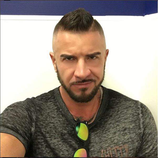 styles large public images blog posts Ryan Shea 2017 10 08 dolf