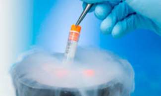 styles medium public images blog posts Matthew Hays 2017 10 04 image 31