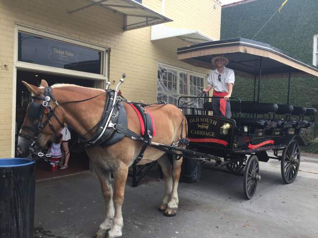 styles large public images blog posts Adam Dupuis 2017 11 09 IMG 5954