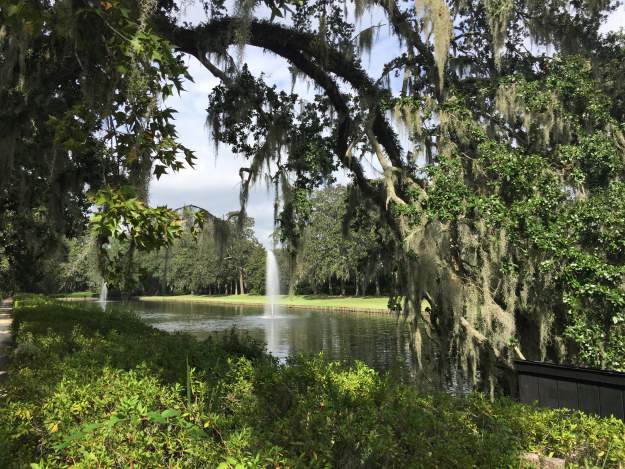 styles large public images blog posts Adam Dupuis 2017 11 09 IMG 5991