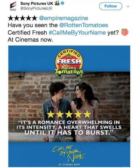 styles large public images blog posts Devin Randall 2017 11 08 call me by your name poster