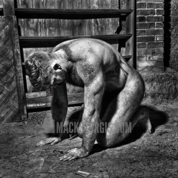 styles large public images blog posts Ryan Shea 2017 11 14 IMG 6932