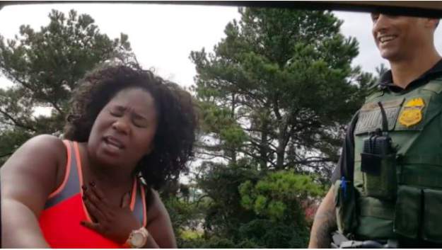 styles large public images blog posts Ryan Shea 2017 11 16 lolll