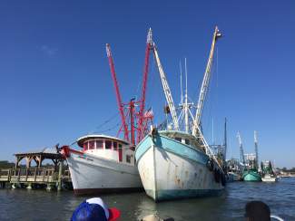 styles medium public images blog posts Adam Dupuis 2017 11 09 IMG 6102