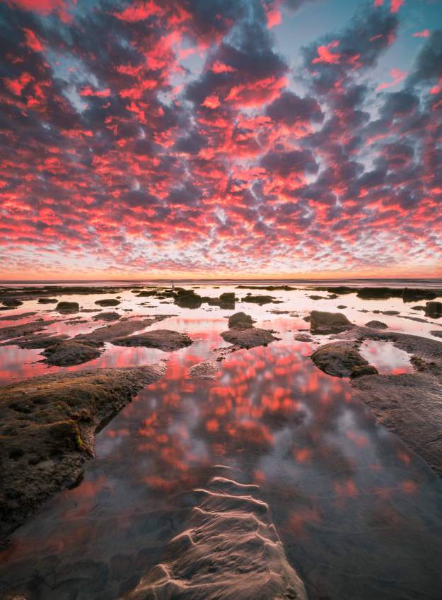 styles large public images blog posts Ryan Shea 2017 12 05 Dippn Dots WEB sRGB