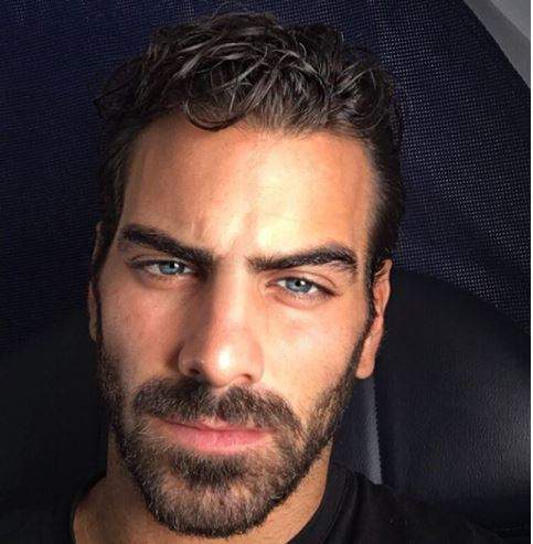 styles large public images blog posts Ryan Shea 2017 12 13 nyle5