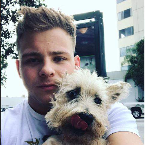 styles large public images blog posts Ryan Shea 2017 12 22 lipnicki2