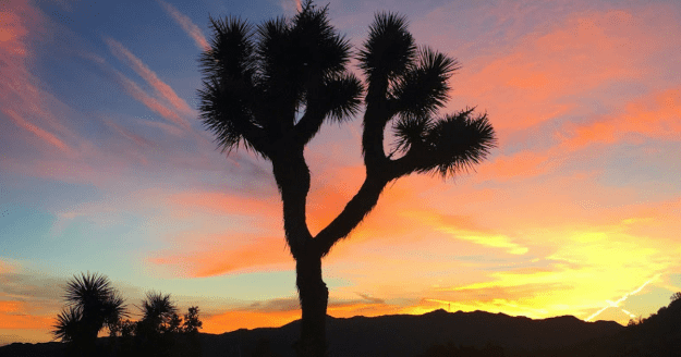 styles large public images blog posts David Lopez 2018 03 22 Copy of Copy of 1200px x 630px %E2%80%93 Untitled Design 25