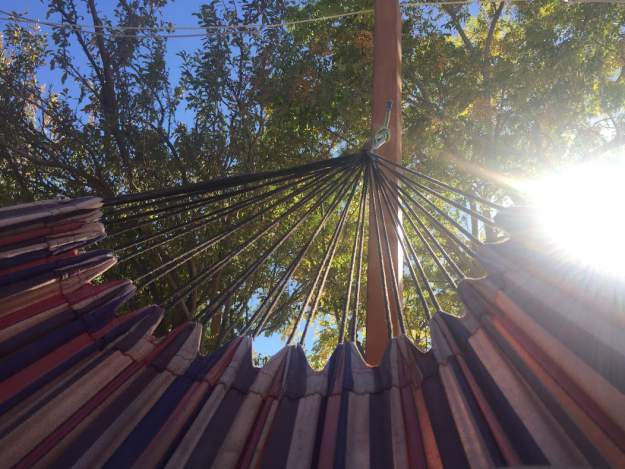 styles large public images blog posts David Lopez 2018 03 22 IMG 4013