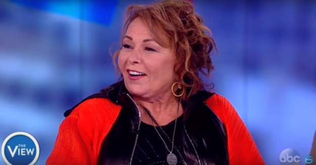 styles large public images blog posts Devin Randall 2018 05 05 RoseaneBarr