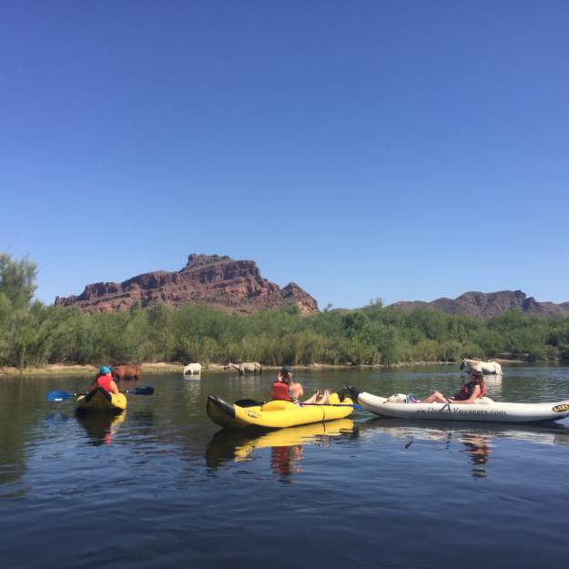 styles large public images blog posts Adam Dupuis 2018 06 15 IMG 9393