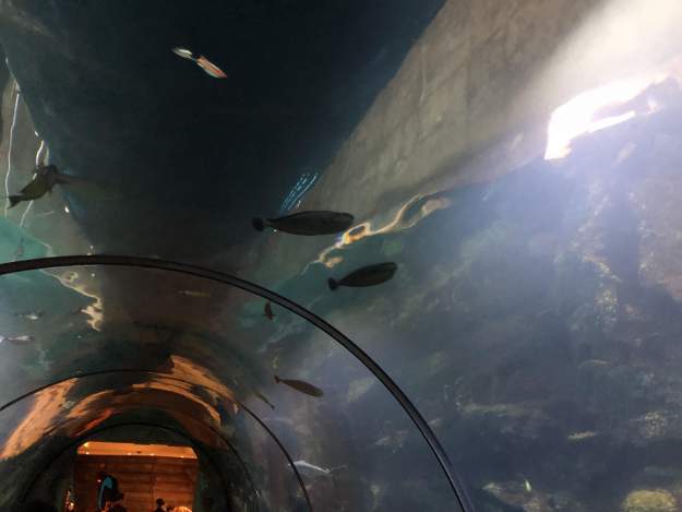 styles large public images blog posts David Lopez 2018 07 11 IMG 8250