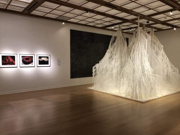 styles large public images blog posts David Lopez 2018 07 11 IMG 8376